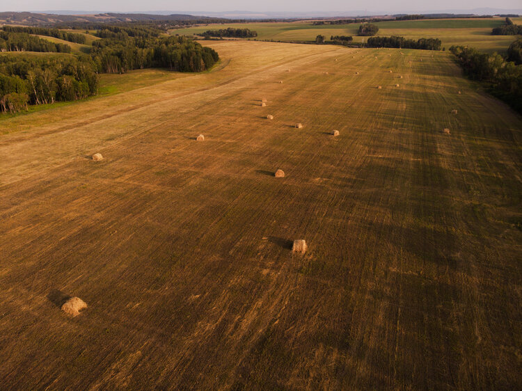 Haystack on field. Aerial view from drone.