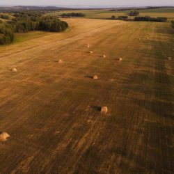 Haystack on field. Aerial view from drone.